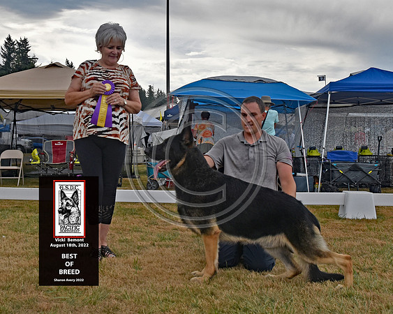 Best of Breed