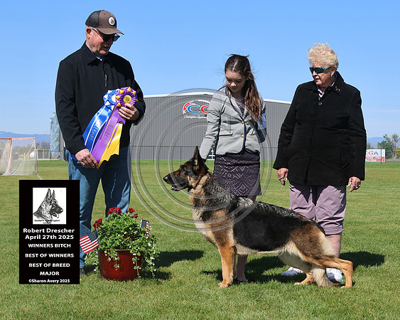 Winners Bitch Best of Winners Best øf Breed Major