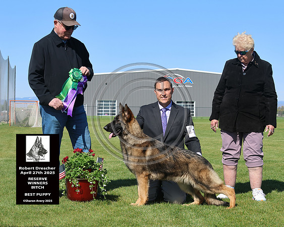 Reserve Winners Bitch Best Puppy