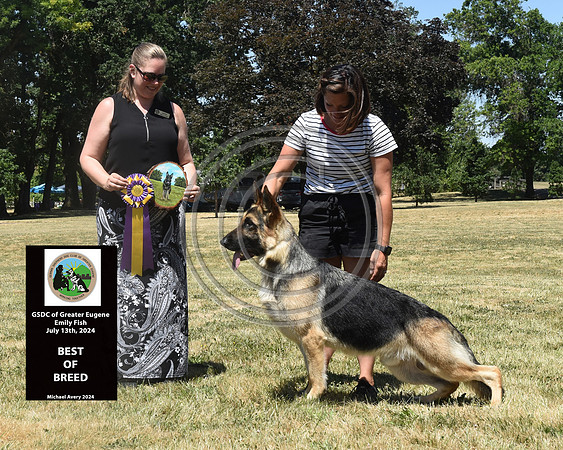 Best of Breed