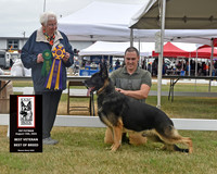 GSDC Pacific Northwest - Pat Putman