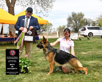 Best in Futurity
