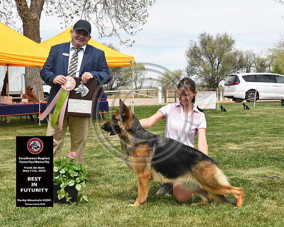 Best in Futurity