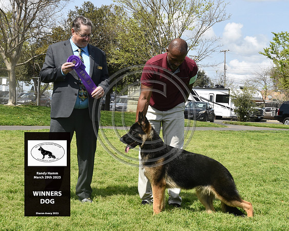 Winners Dog