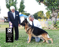 Golden State GSDC of San Jose - Vincent Mulligan