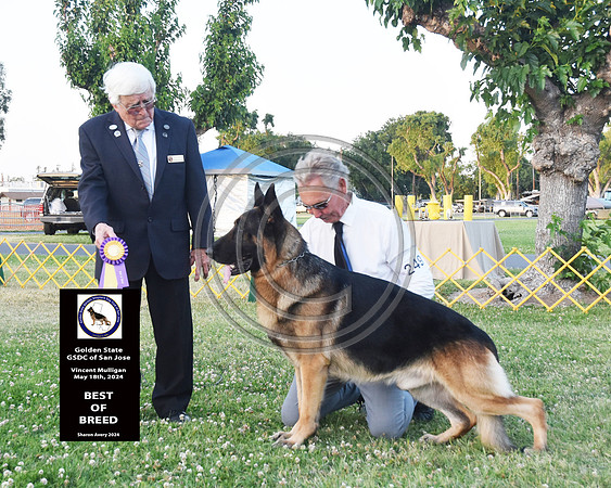 Best of Breed