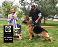 Rocky Mountain GSDC Stephen Bloom