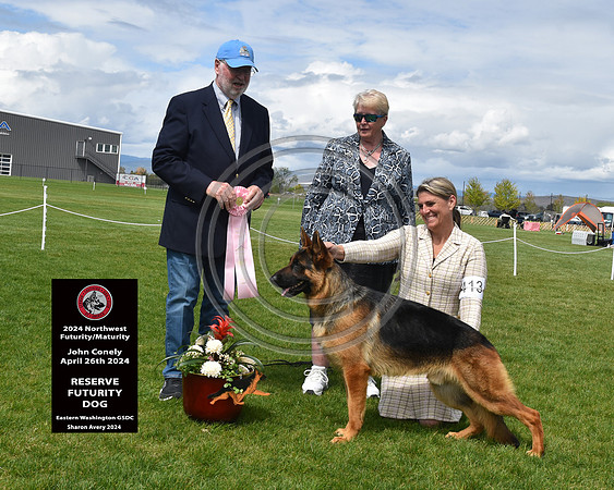 Reserve Futurity Dog