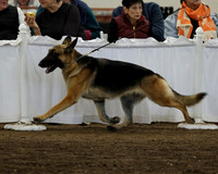Bib 542