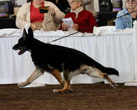GSDCA National Veterans