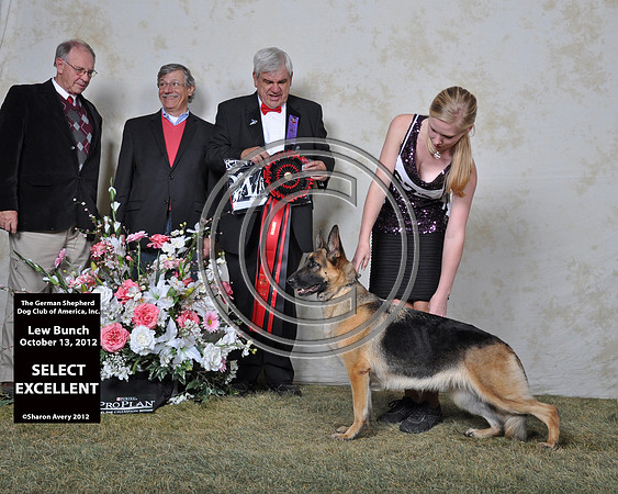 Select Excellent 7