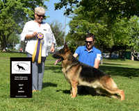 Best of Breed