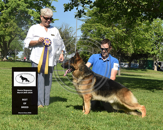 Best of Breed