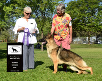 Reserve Winners Dog