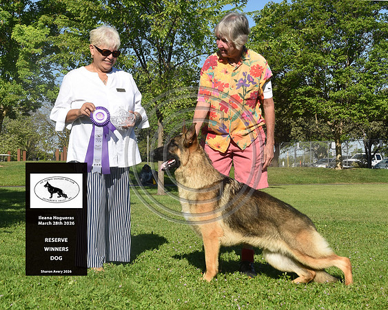 Reserve Winners Dog