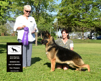 Winners Dog Best of Winners