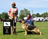 Best of Breed