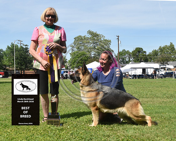 Best of Breed