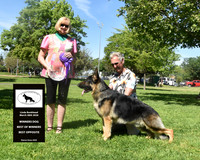 Winners Dog Best of Winners Best Opposite