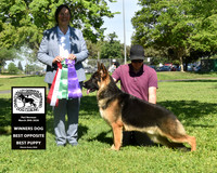 Winners Dog Best Opposite Best Puppy