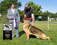Reserve Winners Dog