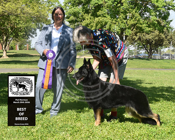Best of Breed