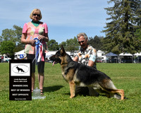 Winners Dog Bet of Winners Best Opposite