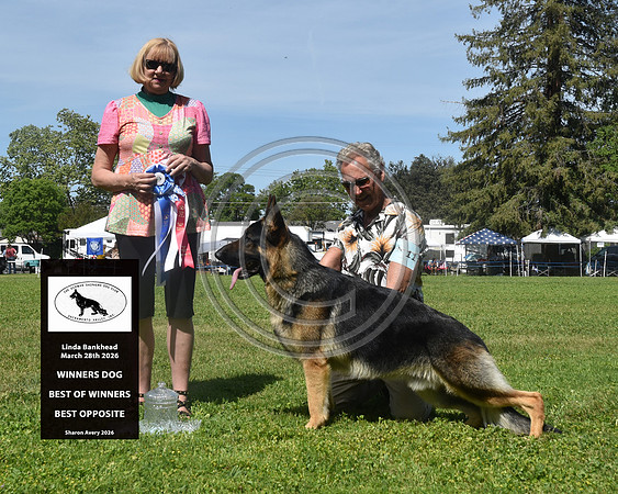 Winners Dog Bet of Winners Best Opposite