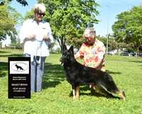Select Bitch New Grand Champion