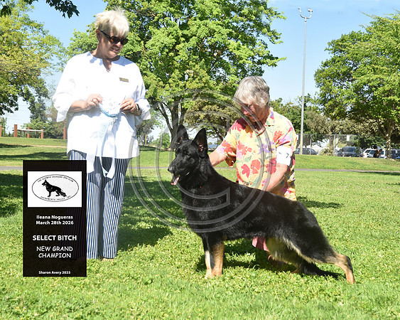 Select Bitch New Grand Champion