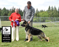 Winners Dog Best Opposite
