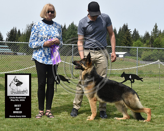 Best of Breed