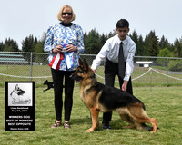 Winners Dog Best of Winners Best Opposite