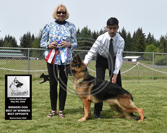 Winners Dog Best of Winners Best Opposite