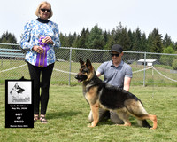 Best of Breed