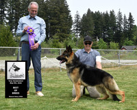 Best of Breed