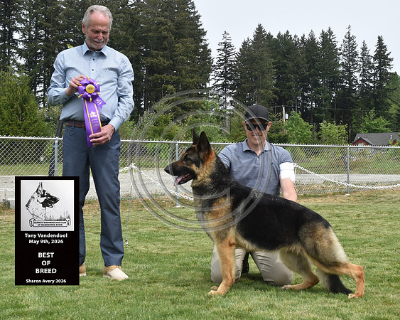 Best of Breed