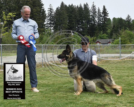 Winners Dog Best Opposite