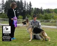 Winners Bitch Best of Winners Best of Breed