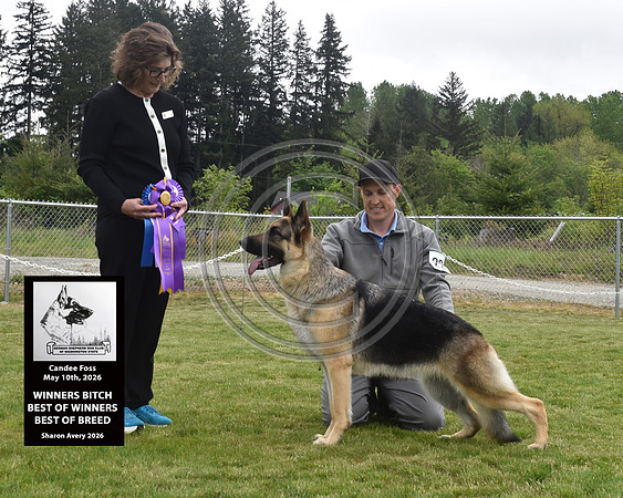 Winners Bitch Best of Winners Best of Breed