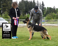 Winners Dog Best Opposite