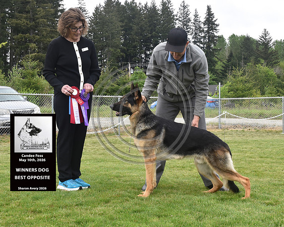 Winners Dog Best Opposite