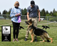 Best of Breed