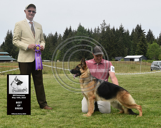 Best of Breed
