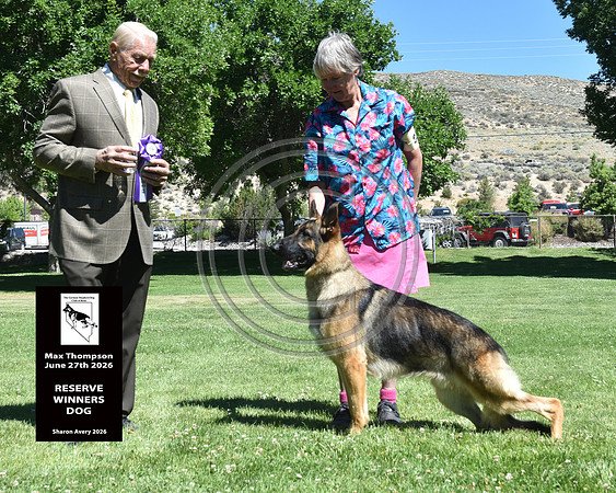 Reserve Winners Dog