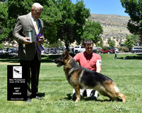Best of Breed