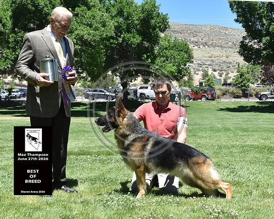 Best of Breed
