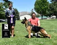 Best of Breed