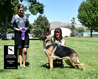 Winners Dog