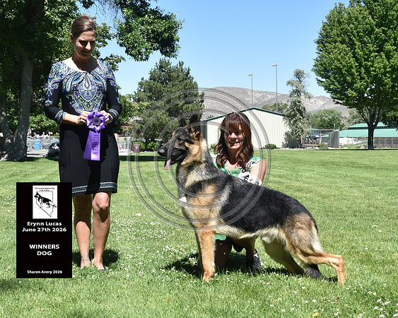 Winners Dog